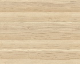 Textures   -   ARCHITECTURE   -   WOOD   -  Plywood - Plywood texture seamless 04519