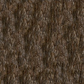Textures   -   NATURE ELEMENTS   -   BARK  - Bark texture seamless 12319 (seamless)