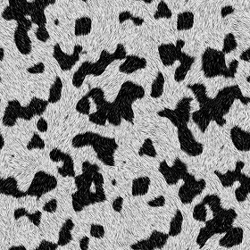 Textures   -   MATERIALS   -  FUR ANIMAL - Dalmatian dog animal fur texture seamless 09563