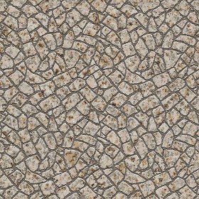 Textures   -   ARCHITECTURE   -   PAVING OUTDOOR   -   Flagstone  - Granite paving flagstone texture seamless 05877 (seamless)