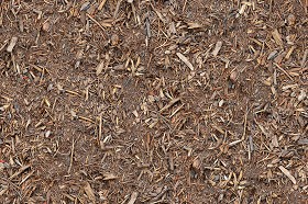 Textures   -   NATURE ELEMENTS   -   SOIL   -  Ground - Ground texture seamless 12822