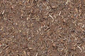 Textures   -   NATURE ELEMENTS   -   SOIL   -   Ground  - Ground texture seamless 12822 (seamless)