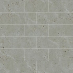 Textures   -   ARCHITECTURE   -   TILES INTERIOR   -   Marble tiles   -  Grey - Pearled grey marble floor tile texture seamless 14468