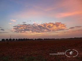 Textures   -   BACKGROUNDS &amp; LANDSCAPES   -   SUNRISES &amp; SUNSETS  - Sunrise background in the countryside 17704