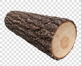 Textures   -   ARCHITECTURE   -   WOOD   -  Wood logs - Wood logs texture 17405