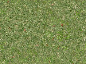 Textures   -   NATURE ELEMENTS   -   VEGETATION   -  Green grass - Green grass texture seamless 12980