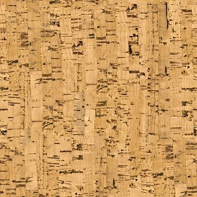 Textures   -   ARCHITECTURE   -   WOOD   -  Cork - Cork texture seamless 04093