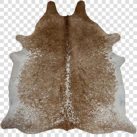 Textures   -   MATERIALS   -   RUGS   -  Cowhides rugs - Cow leather rug texture 20022