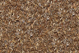 Textures   -   NATURE ELEMENTS   -   SOIL   -  Ground - Ground texture seamless 12824