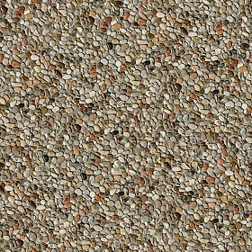 Textures   -   ARCHITECTURE   -   PLASTER   -  Pebble Dash - Pebble dash texture seamless 07057