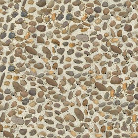Textures   -   ARCHITECTURE   -   ROADS   -   Paving streets   -   Rounded cobble  - Rounded cobblestone texture seamless 07497 (seamless)