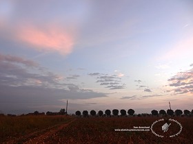 Textures   -   BACKGROUNDS &amp; LANDSCAPES   -   SUNRISES &amp; SUNSETS  - Sunrise background in the countryside 17706