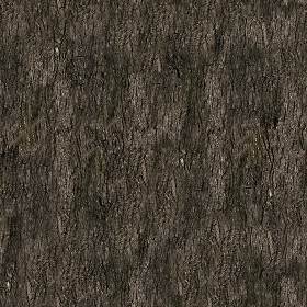 Textures   -   NATURE ELEMENTS   -  BARK - Bark texture seamless 12322