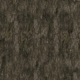 Textures   -   NATURE ELEMENTS   -   BARK  - Bark texture seamless 12322 (seamless)