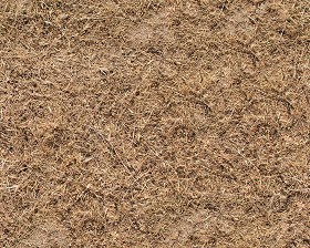 Textures   -   NATURE ELEMENTS   -   VEGETATION   -  Dry grass - Dry grass texture seamless 12928