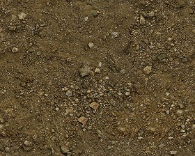 Textures   -   NATURE ELEMENTS   -   SOIL   -  Ground - Ground texture seamless 12825