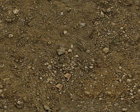 Textures   -   NATURE ELEMENTS   -   SOIL   -   Ground  - Ground texture seamless 12825 (seamless)