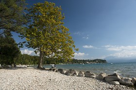 Textures   -   BACKGROUNDS &amp; LANDSCAPES   -   NATURE   -  Lakes - Italy garda lake landscape 17550