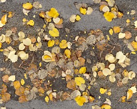 Textures   -   NATURE ELEMENTS   -   VEGETATION   -  Leaves dead - Leaves dead texture seamless 13131