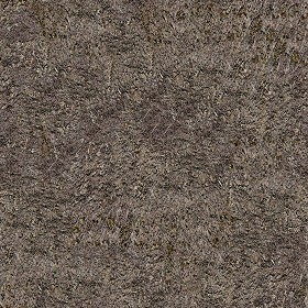 Textures   -   ARCHITECTURE   -   ROOFINGS   -   Thatched roofs  - Thatched roof texture seamless 04052 (seamless)