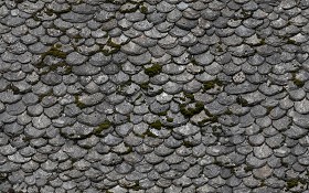 Textures   -   ARCHITECTURE   -   ROOFINGS   -  Slate roofs - Damaged slate roofing texture seamless 03911