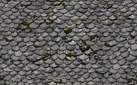 Textures   -   ARCHITECTURE   -   ROOFINGS   -   Slate roofs  - Damaged slate roofing texture seamless 03911 (seamless)