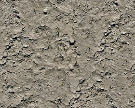 Textures   -   NATURE ELEMENTS   -   SOIL   -  Mud - Dry mud texture seamless 12888