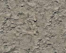 Textures   -   NATURE ELEMENTS   -   SOIL   -   Mud  - Dry mud texture seamless 12888 (seamless)