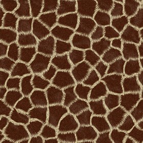 Textures   -   MATERIALS   -  FUR ANIMAL - Giraffe faux fake fur animal texture seamless 09567