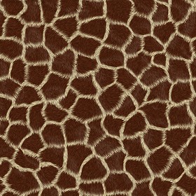 Textures   -   MATERIALS   -   FUR ANIMAL  - Giraffe faux fake fur animal texture seamless 09567 (seamless)