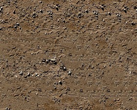 Textures   -   NATURE ELEMENTS   -   SOIL   -   Ground  - Ground texture seamless 12826 (seamless)