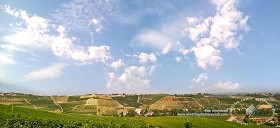 Textures   -   BACKGROUNDS &amp; LANDSCAPES   -   NATURE   -  Vineyards - Italy vineyards background 17739