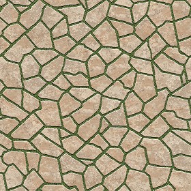 Textures   -   ARCHITECTURE   -   PAVING OUTDOOR   -   Flagstone  - Paving flagstone texture seamless 05881 (seamless)
