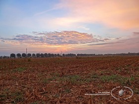 Textures   -   BACKGROUNDS &amp; LANDSCAPES   -  SUNRISES &amp; SUNSETS - Sunrise background in the countryside 17708