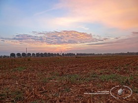 Textures   -   BACKGROUNDS &amp; LANDSCAPES   -   SUNRISES &amp; SUNSETS  - Sunrise background in the countryside 17708