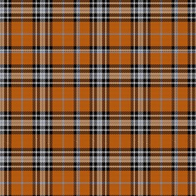 Textures   -   MATERIALS   -   FABRICS   -  Tartan - Wool flannel fabric texture seamless 16316