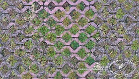 Textures   -   ARCHITECTURE   -   PAVING OUTDOOR   -  Parks Paving - Damaged bricks park paving texture seamless 18680
