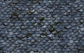 Textures   -   ARCHITECTURE   -   ROOFINGS   -  Slate roofs - Damaged slate roofing texture seamless 03912