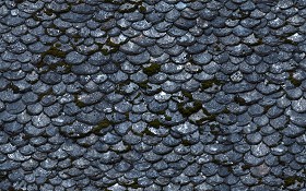 Textures   -   ARCHITECTURE   -   ROOFINGS   -   Slate roofs  - Damaged slate roofing texture seamless 03912 (seamless)