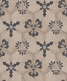 Textures   -   ARCHITECTURE   -   TILES INTERIOR   -  Hexagonal mixed - Hexagonal tile texture seamless 17117
