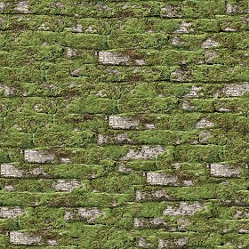 Textures   -   NATURE ELEMENTS   -   VEGETATION   -   Moss  - Moss brick texture seamless 13168 (seamless)