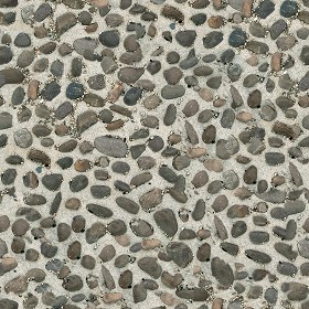 Textures   -   ARCHITECTURE   -   ROADS   -   Paving streets   -   Rounded cobble  - Rounded cobblestone texture seamless 07500 (seamless)