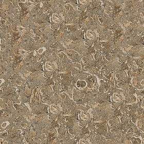 Textures   -   ARCHITECTURE   -   MARBLE SLABS   -   Brown  - Slab marble rasotica texture seamless 01985 (seamless)