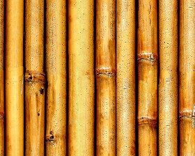Textures   -   NATURE ELEMENTS   -  BAMBOO - Bamboo fence texture seamless 12284