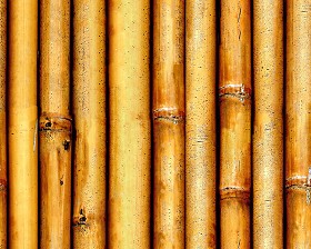 Textures   -   NATURE ELEMENTS   -   BAMBOO  - Bamboo fence texture seamless 12284 (seamless)