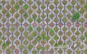 Textures   -   ARCHITECTURE   -   PAVING OUTDOOR   -   Parks Paving  - Damaged concrete park paving texture seamless 18681 (seamless)
