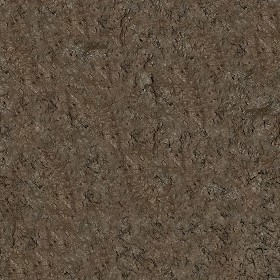 Textures   -   NATURE ELEMENTS   -   SOIL   -   Mud  - Mud texture seamless 12890 (seamless)