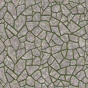 Textures   -   ARCHITECTURE   -   PAVING OUTDOOR   -   Flagstone  - Paving flagstone texture seamless 05883 (seamless)