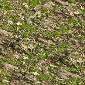 Textures   -   NATURE ELEMENTS   -   VEGETATION   -  Moss - Rock moss texture seamless 13169