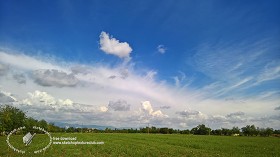 Textures   -   BACKGROUNDS &amp; LANDSCAPES   -   SKY &amp; CLOUDS  - Sky with rural background 17796